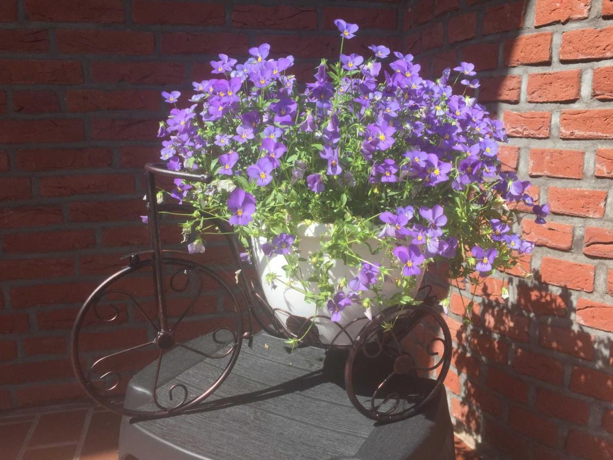 Ferienwohnung Vereinswiek 95137 Rhauderfehn ภายนอก รูปภาพ